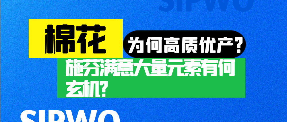 棉花憑啥高產(chǎn)優(yōu)質(zhì)？施芬滿意大量元素有何玄機？